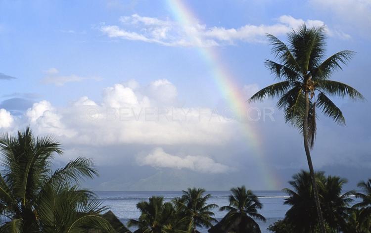 Islands;huts;ocean;palm trees;blue;water;sky;papette;french polynesia;palm trees;rainbow